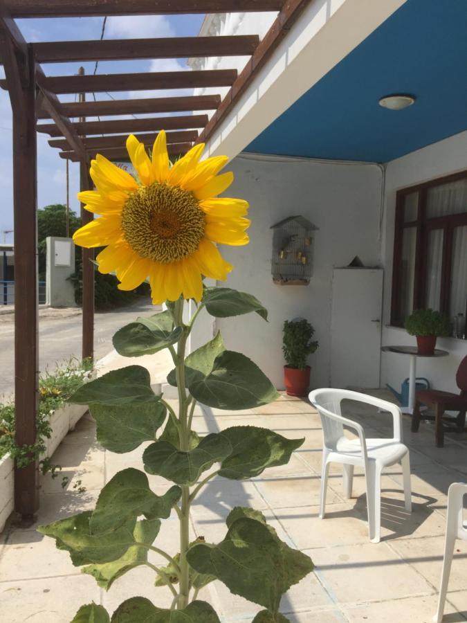 Villa Bonatsa Andros Home Batsi  Bagian luar foto