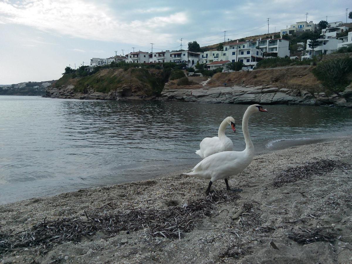 Villa Bonatsa Andros Home Batsi  Bagian luar foto